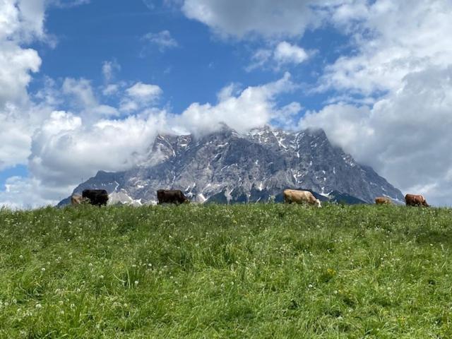 Bergheimat Tirol Apartman Lermoos Kültér fotó